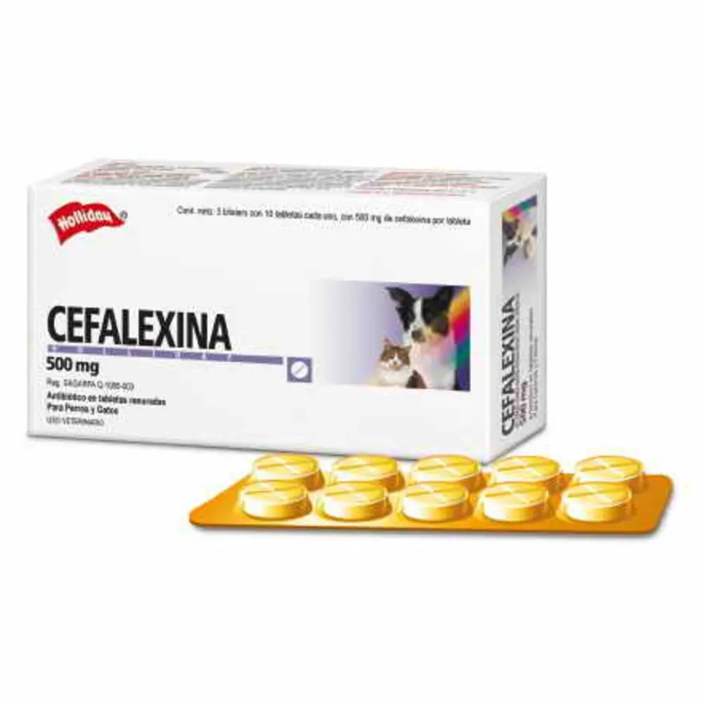 CEFALEXINA 500 MG X 8 COMP LAB PUNTANOS - B3 -