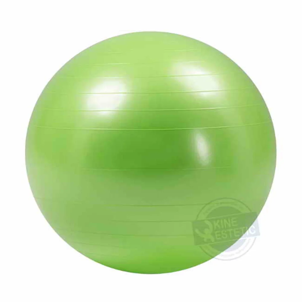 PELOTA ESFERODINAMIA 55 CM DE DIAMETRO