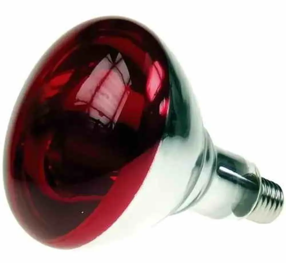 BULBO  INFRAROJO 250 W